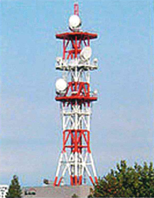 導電コンクリート接地電極剤